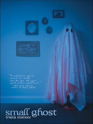 cover image of Small Ghost